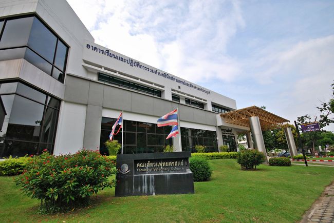 Mahidol University.jpg